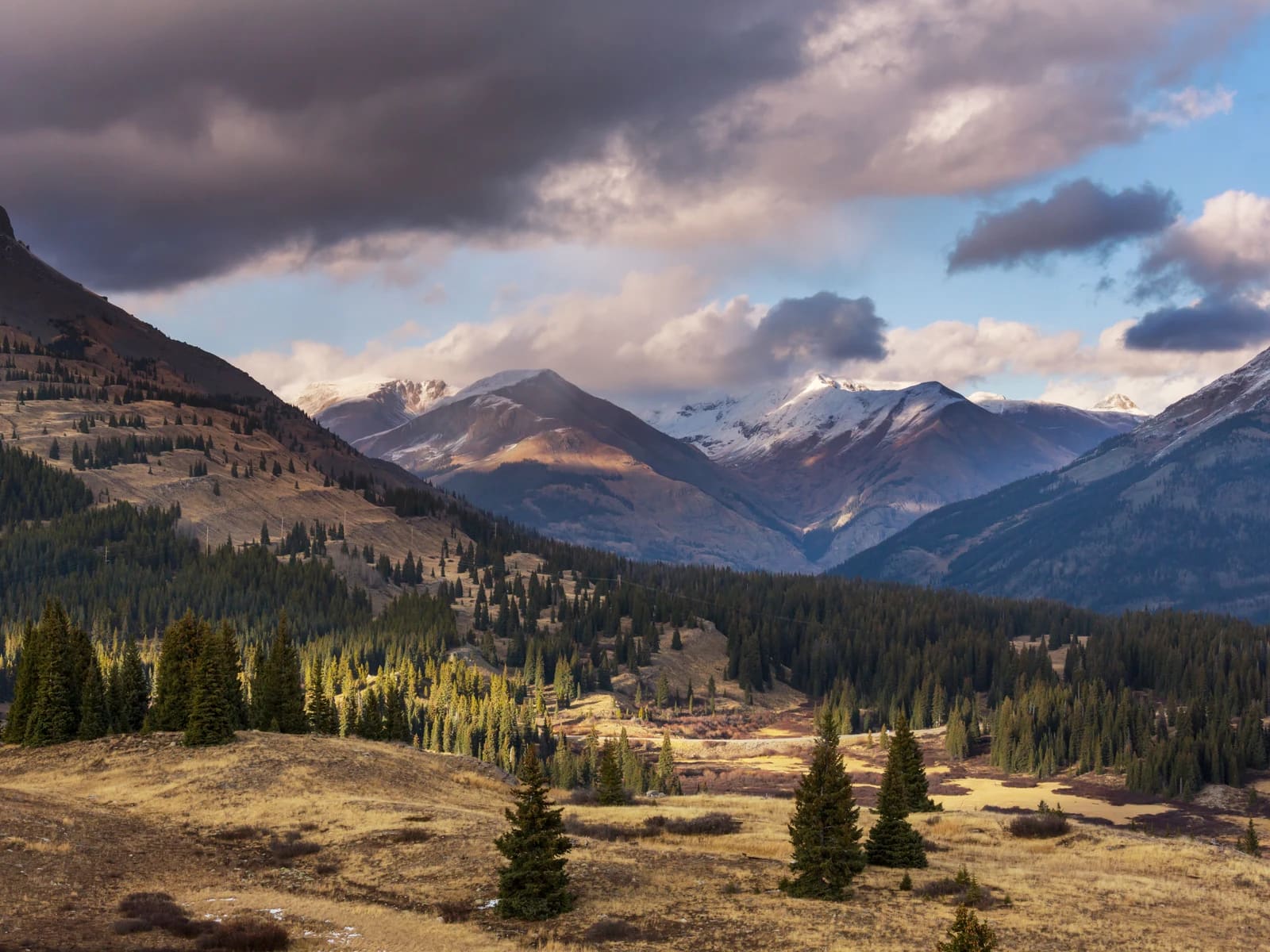 An open alpine valley with evergreen forests, golden meadows and snow-dusted mountain ridges beneath softly lit clouds